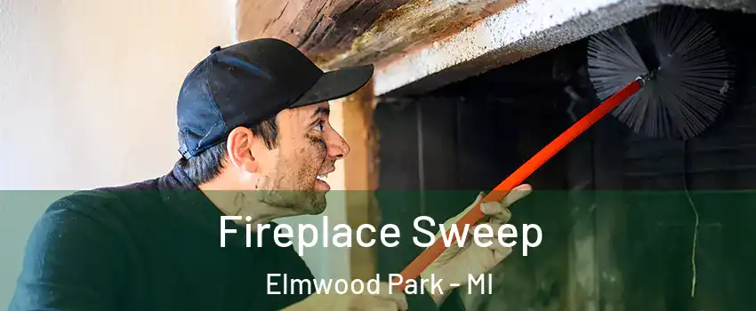 Fireplace Sweep Elmwood Park - MI