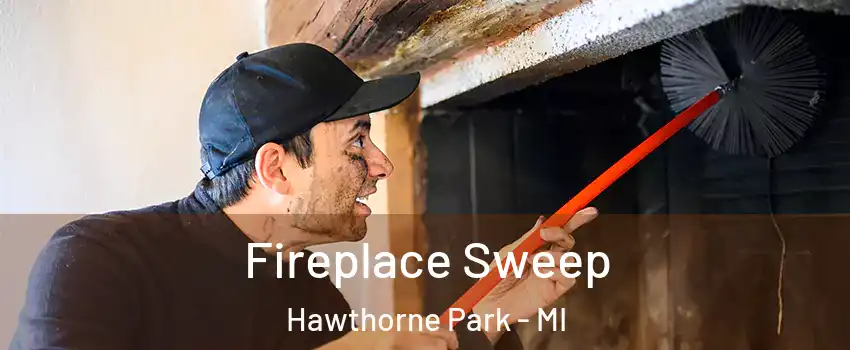 Fireplace Sweep Hawthorne Park - MI