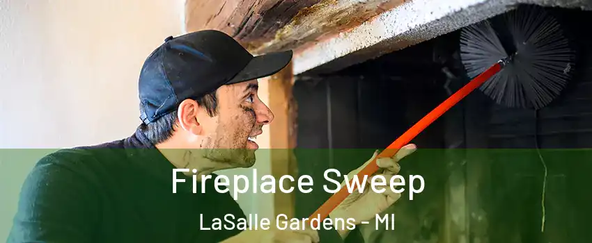 Fireplace Sweep LaSalle Gardens - MI