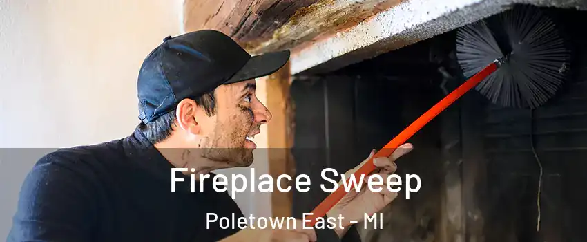 Fireplace Sweep Poletown East - MI