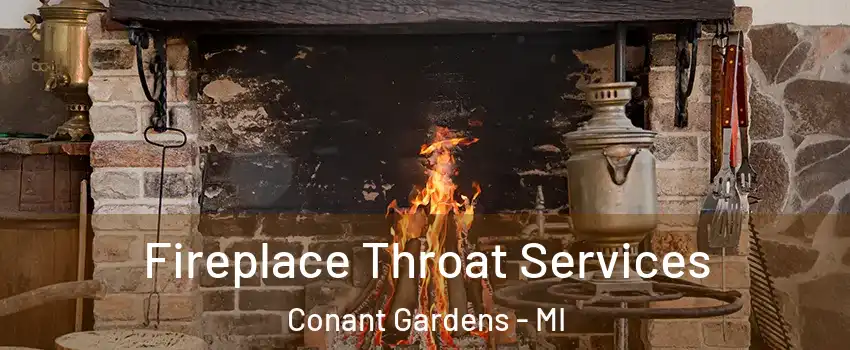 Fireplace Throat Services Conant Gardens - MI