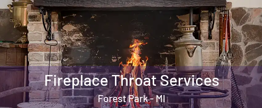 Fireplace Throat Services Forest Park - MI