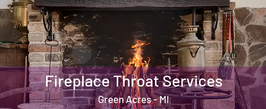 Fireplace Throat Services Green Acres - MI