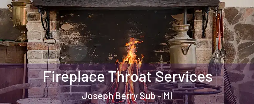 Fireplace Throat Services Joseph Berry Sub - MI