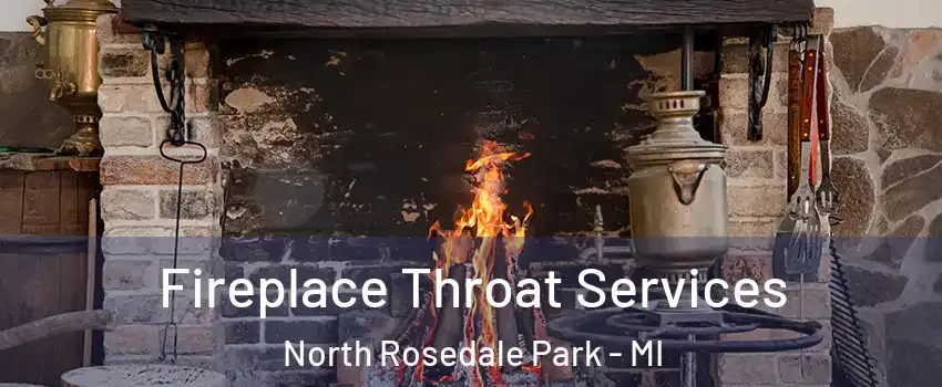 Fireplace Throat Services North Rosedale Park - MI