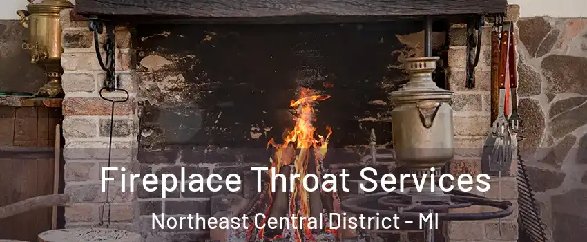 Fireplace Throat Services Northeast Central District - MI