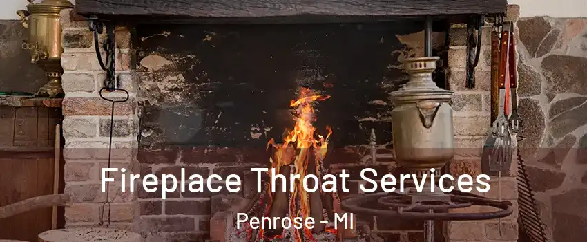 Fireplace Throat Services Penrose - MI