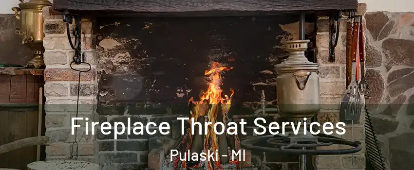 Fireplace Throat Services Pulaski - MI