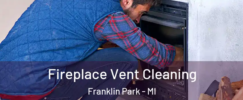 Fireplace Vent Cleaning Franklin Park - MI