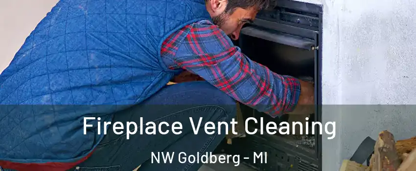 Fireplace Vent Cleaning NW Goldberg - MI