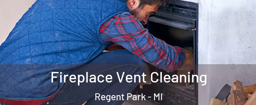 Fireplace Vent Cleaning Regent Park - MI