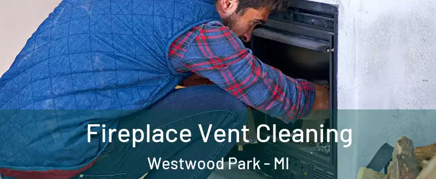 Fireplace Vent Cleaning Westwood Park - MI