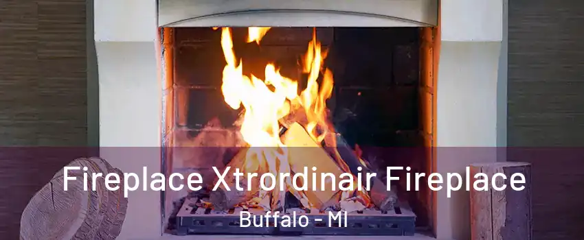 Fireplace Xtrordinair Fireplace Buffalo - MI