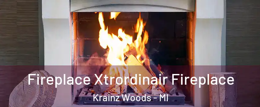 Fireplace Xtrordinair Fireplace Krainz Woods - MI