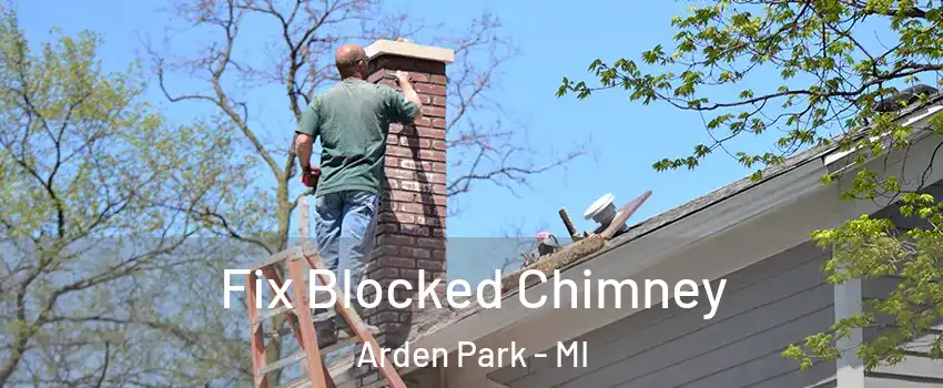 Fix Blocked Chimney Arden Park - MI