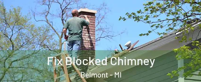 Fix Blocked Chimney Belmont - MI