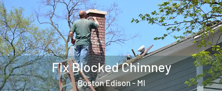 Fix Blocked Chimney Boston Edison - MI