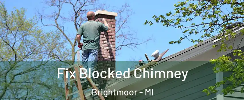 Fix Blocked Chimney Brightmoor - MI