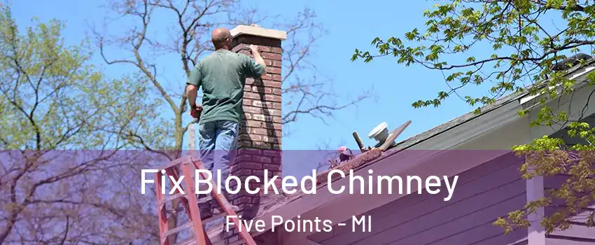 Fix Blocked Chimney Five Points - MI