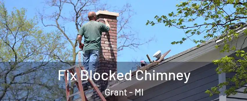 Fix Blocked Chimney Grant - MI