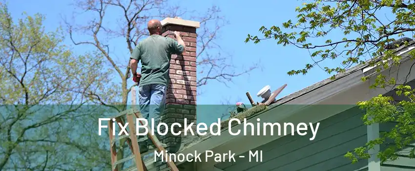 Fix Blocked Chimney Minock Park - MI