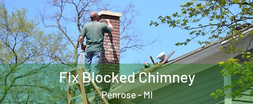 Fix Blocked Chimney Penrose - MI