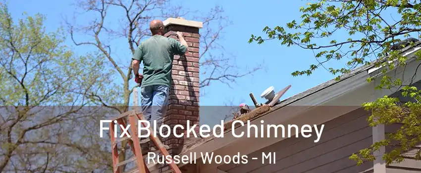 Fix Blocked Chimney Russell Woods - MI