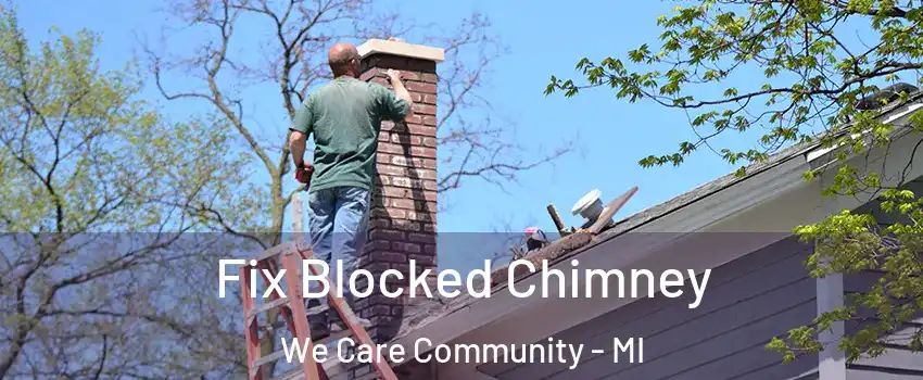 Fix Blocked Chimney We Care Community - MI