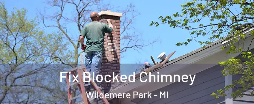 Fix Blocked Chimney Wildemere Park - MI