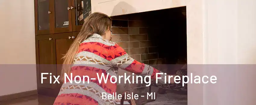 Fix Non-Working Fireplace Belle Isle - MI