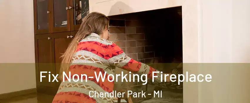 Fix Non-Working Fireplace Chandler Park - MI