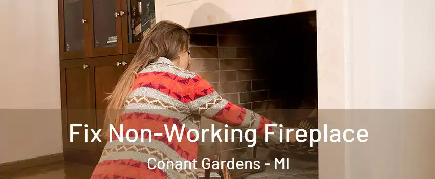 Fix Non-Working Fireplace Conant Gardens - MI