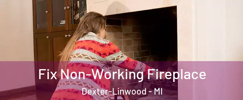 Fix Non-Working Fireplace Dexter-Linwood - MI