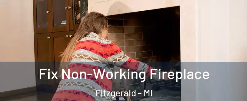 Fix Non-Working Fireplace Fitzgerald - MI