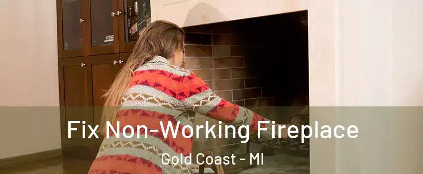 Fix Non-Working Fireplace Gold Coast - MI