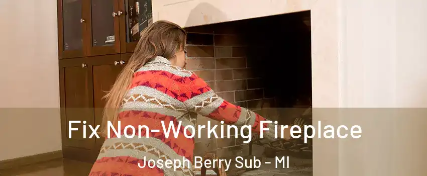 Fix Non-Working Fireplace Joseph Berry Sub - MI