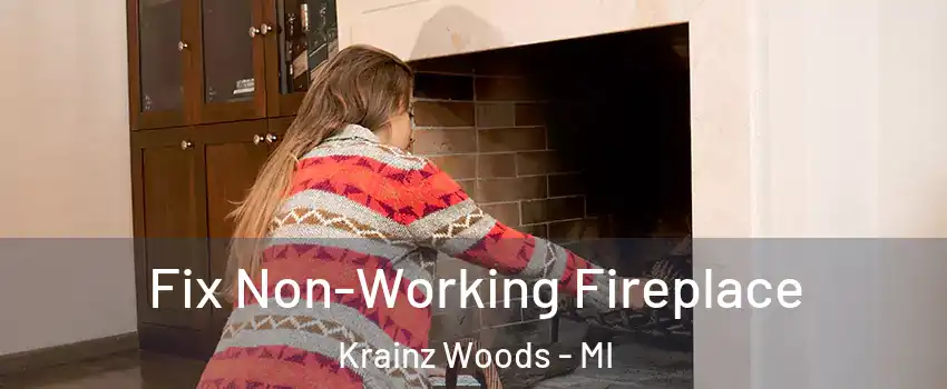 Fix Non-Working Fireplace Krainz Woods - MI