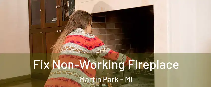 Fix Non-Working Fireplace Martin Park - MI