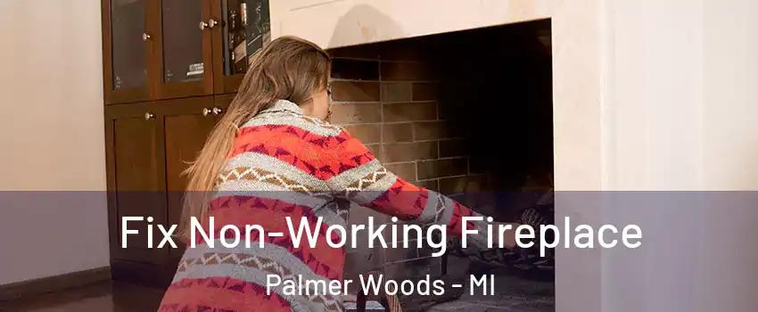 Fix Non-Working Fireplace Palmer Woods - MI