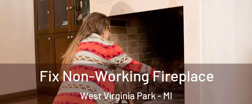 Fix Non-Working Fireplace West Virginia Park - MI