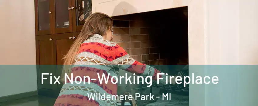 Fix Non-Working Fireplace Wildemere Park - MI