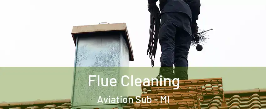 Flue Cleaning Aviation Sub - MI