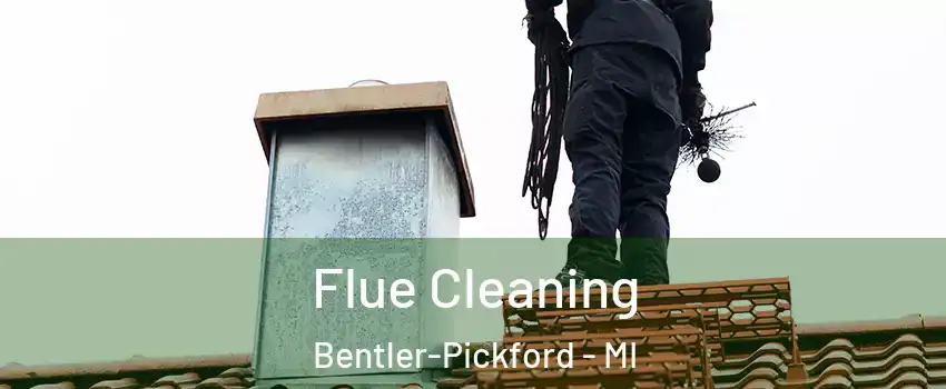 Flue Cleaning Bentler-Pickford - MI