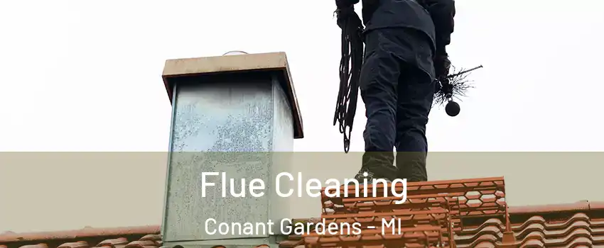 Flue Cleaning Conant Gardens - MI