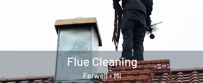 Flue Cleaning Farwell - MI