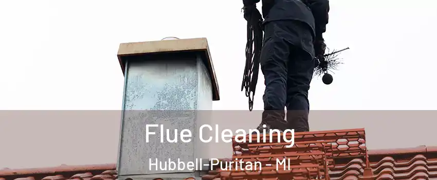 Flue Cleaning Hubbell-Puritan - MI