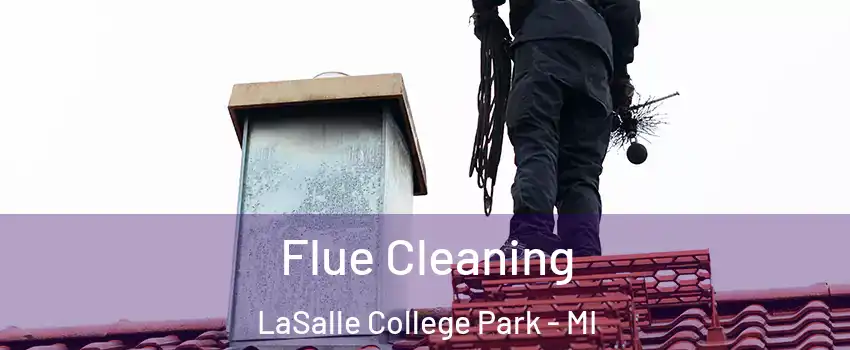 Flue Cleaning LaSalle College Park - MI