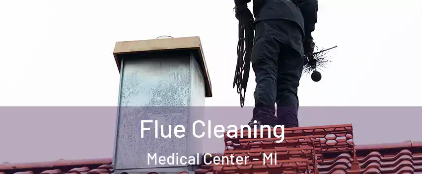 Flue Cleaning Medical Center - MI