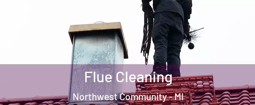 Flue Cleaning Northwest Community - MI