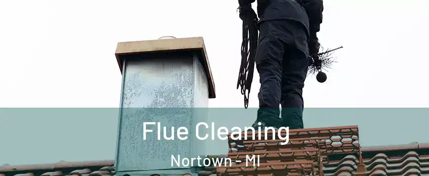 Flue Cleaning Nortown - MI